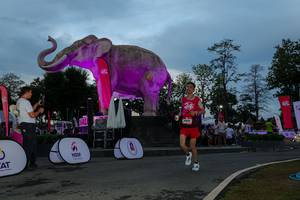 BIB: 
                            <button type="button" onclick="openModal(26529611)" class="btn btn-primary btn-sm float-right btn-popup" data-toggle="modal" data-target=".modal-high-quality">
                        <i class="fas fa-shopping-cart"></i> Add to Cart
                    </button>
                                            <button type="button" onclick="isThisMe(26529611, true)" class="btn btn-success btn-sm float-right btn-popup btn-isme hidden" data-toggle="tooltip" data-placement="bottom" title="นี่คือรูปของคุณใช่ไหม คลิกที่นี่เพื่อเอาเข้าอัลบั้ม">
                        <i class="fas fa-plus"></i> Add to album
                    </button>
                    <button type="button" onclick="isThisMe(26529611, false)" class="btn btn-warning btn-sm float-right btn-popup btn-isnotme hidden">
                        <i class="fas fa-ban"></i> Remove from album
                    </button>